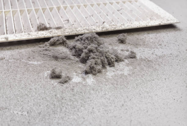 Best Duct Cleaning for Homes  in Tequesta, FL